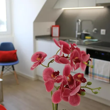 Maraveiro House Apartment *