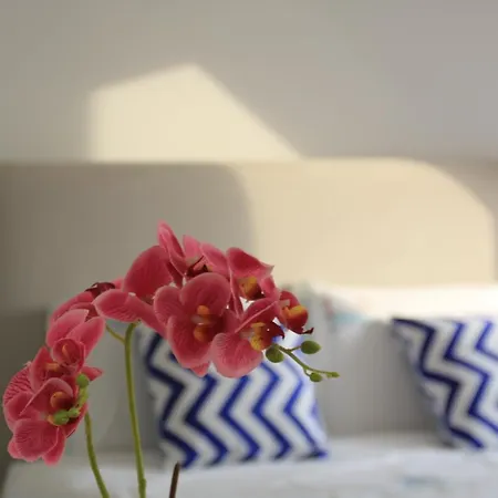 Apartment Maraveiro House Aveiro